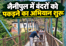 नैनीपुल : कटखने बंदरों के आतंक से मिलेगी निजात नैनीपुल : कटखने बंदरों के आतंक से मिलेगी निजात